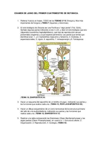 EXAMEN JUNIO PRIMER CUATRIMESTRE 2016.pdf