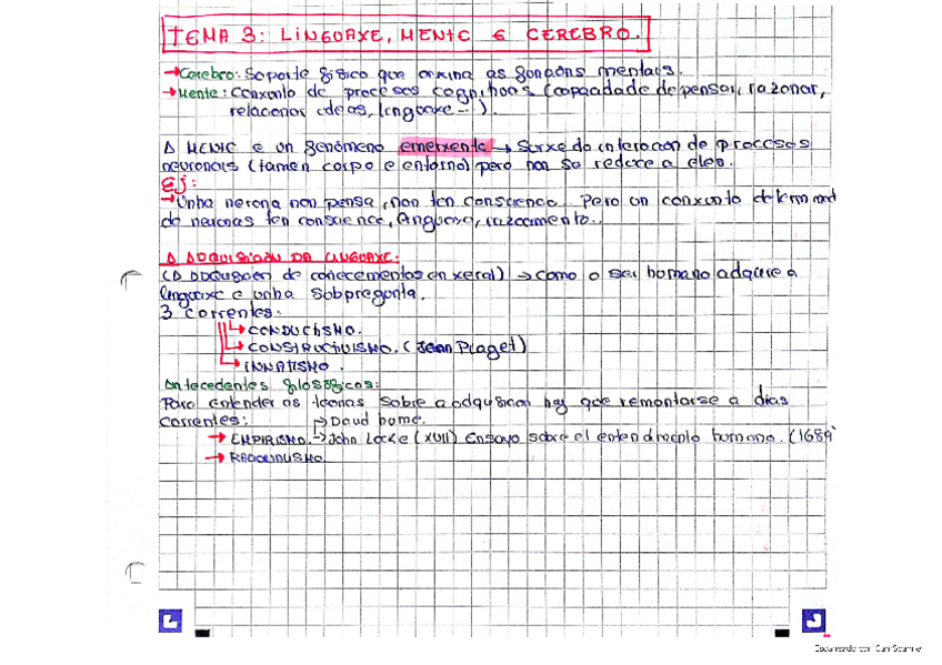 Tema-3-Lenguaje-mente-y-cerebro..pdf