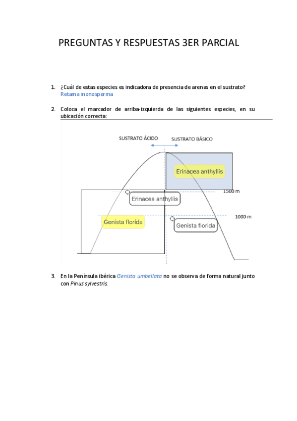 PREGUNTAS-Y-RESPUESTAS-3ER-PARCIAL.pdf