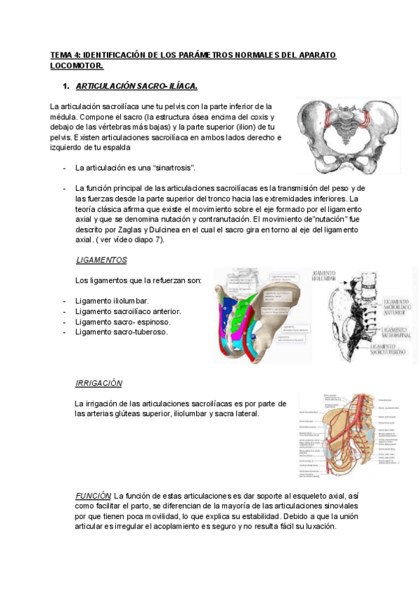 TEMA-4-IDENTIFICACION-DE-LOS-PARAMETROS-NORMALES-DEL-APARATO-LOCOMOTOR-parte-2.pdf