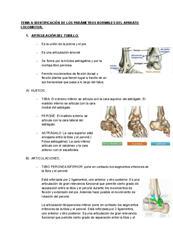 Tema-4-identificacion-de-los-parametros-normales-del-aparato-locomotor-art-de-tobillo.pdf