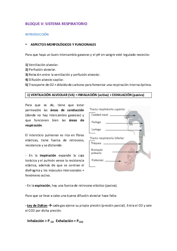 BLOQUE-IV-RESPI.pdf