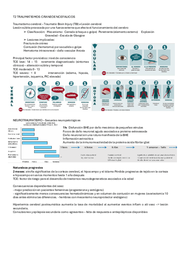 T2-Traumatismos-del-SNC.pdf