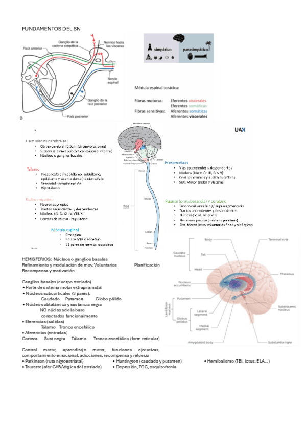 T1-FUNDAMENTOS-DEL-SN.pdf