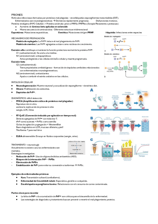 PRIONES.pdf
