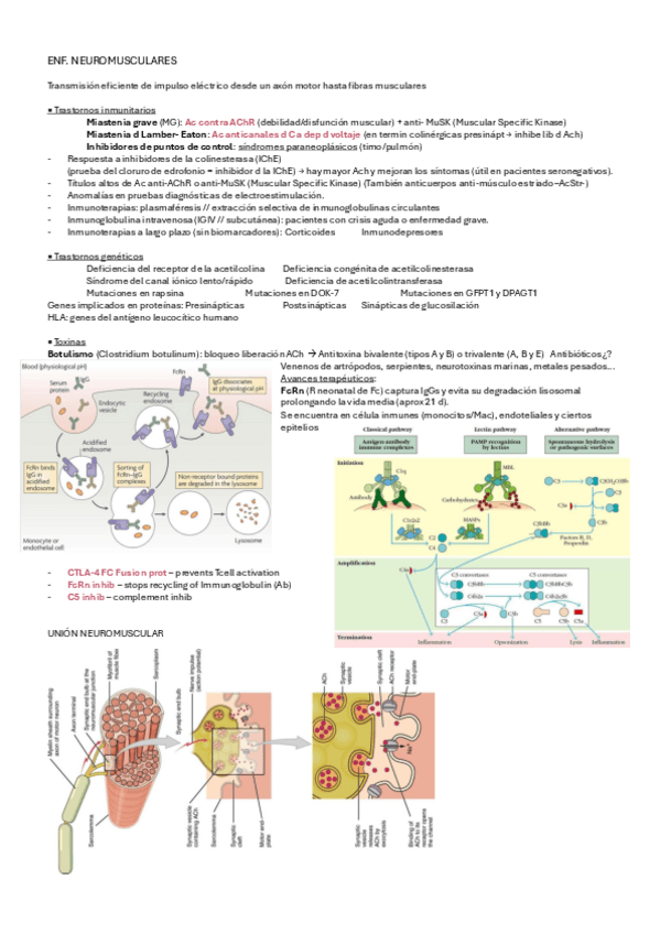 ENF.-NEUROMUSCULARES.pdf