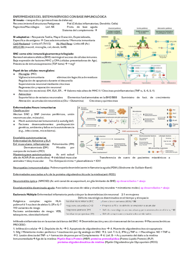 ENF-CON-BASE-INMUNOLOGICA - DESMIELINIZANTES.pdf