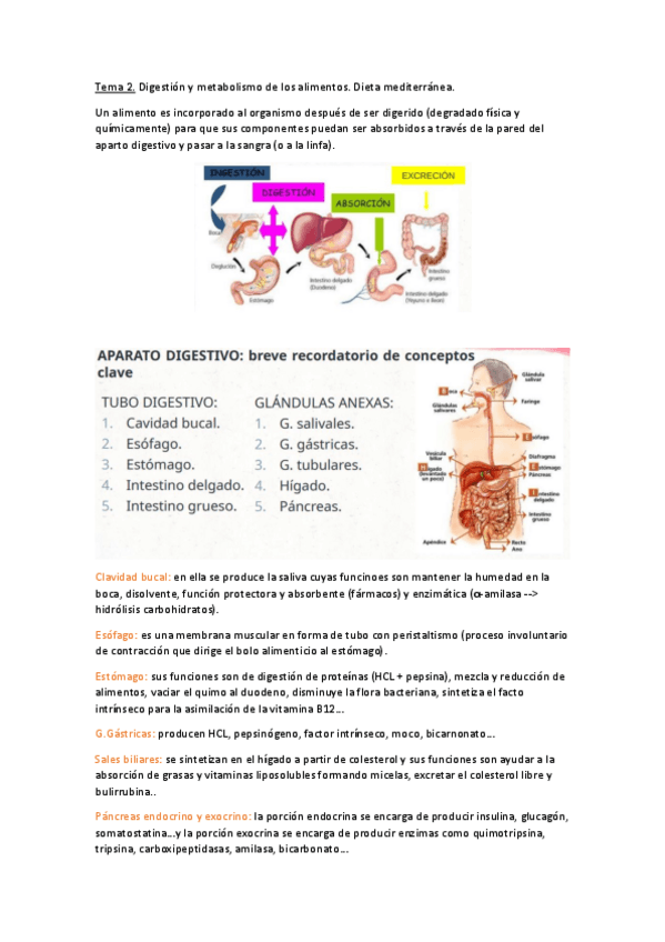 NUTRICION-DEPORTIVA-T2.pdf