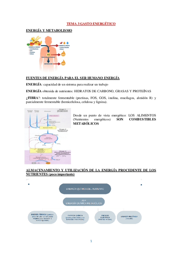 NUTRICION-DEPORTIVA-T3.pdf