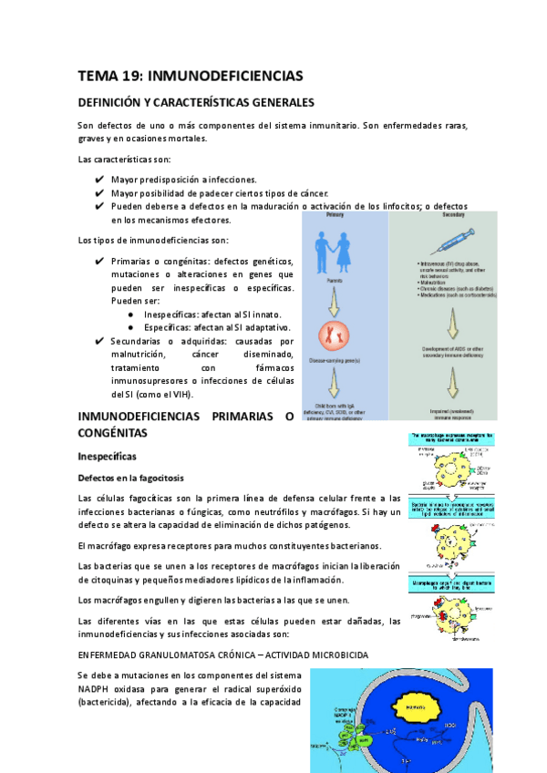 TEMA-19.docx.pdf