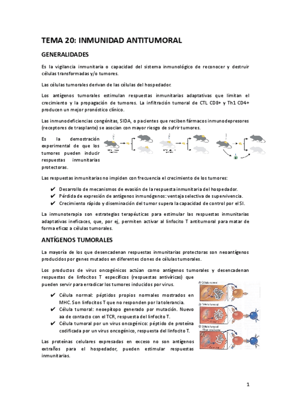 TEMA-20.docx.pdf