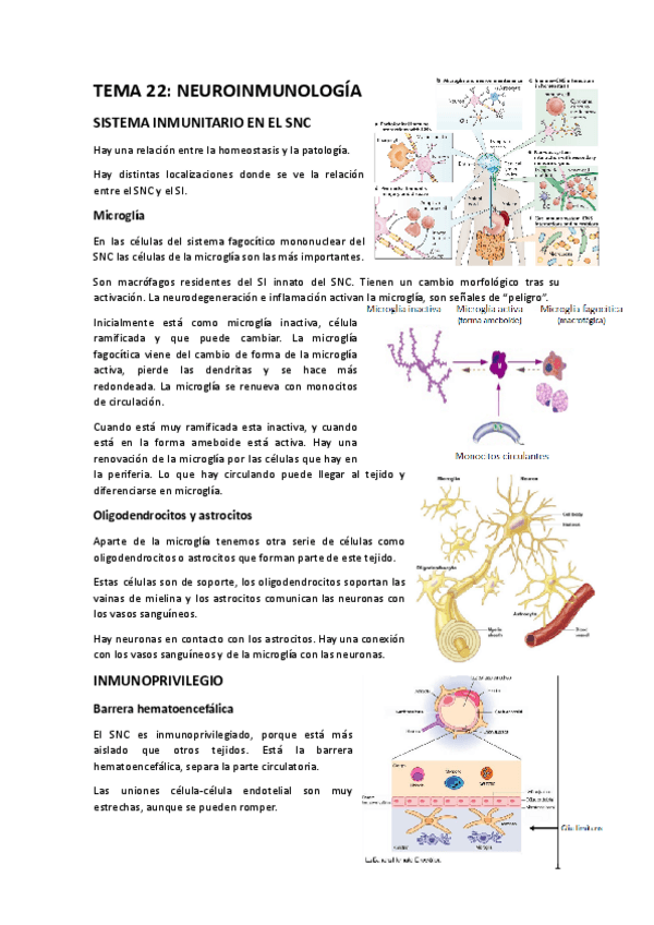 TEMA-22.docx.pdf