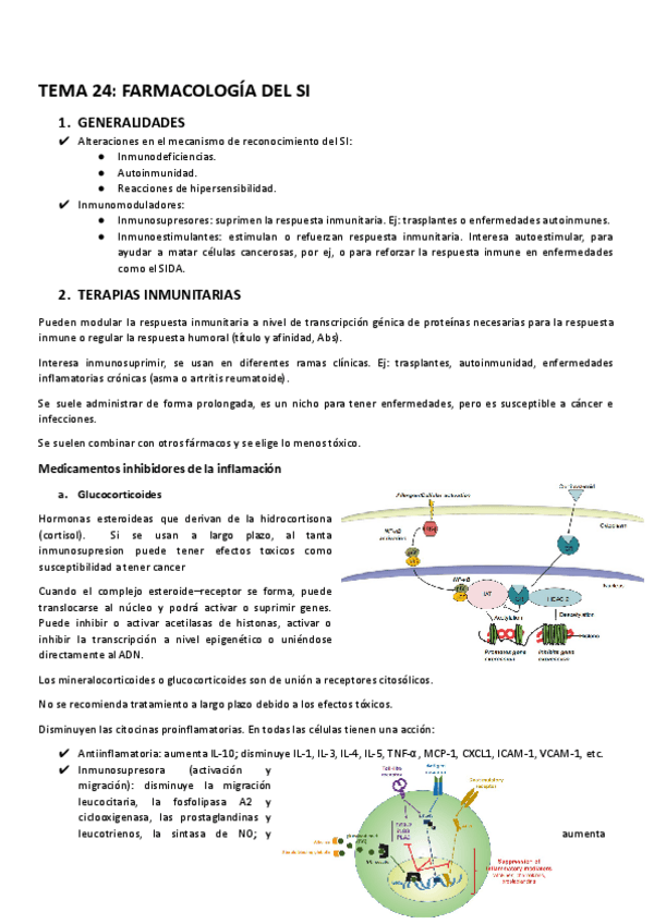 TEMA-24.docx.pdf