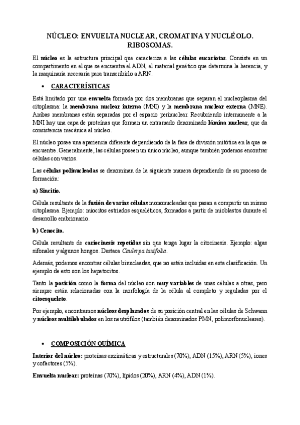 T3-BC- NÚCLEO: ENVUELTA NUCLEAR, CROMATINA Y NUCLÉOLO. RIBOSOMAS.pdf