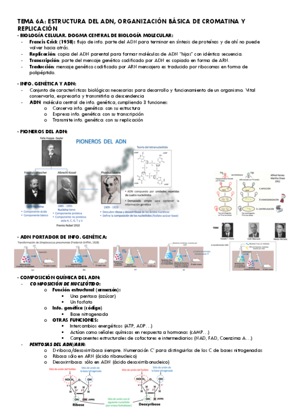 Tema-6A-y-6B-Bioq..pdf