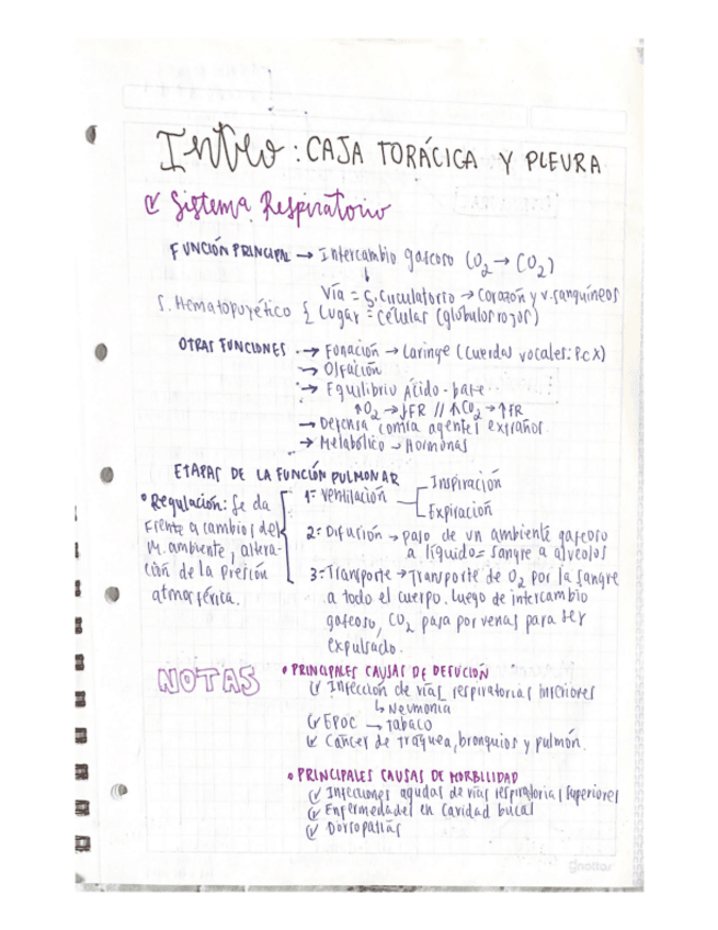 RESPIRATORY-SYSTEM-RESUME.pdf