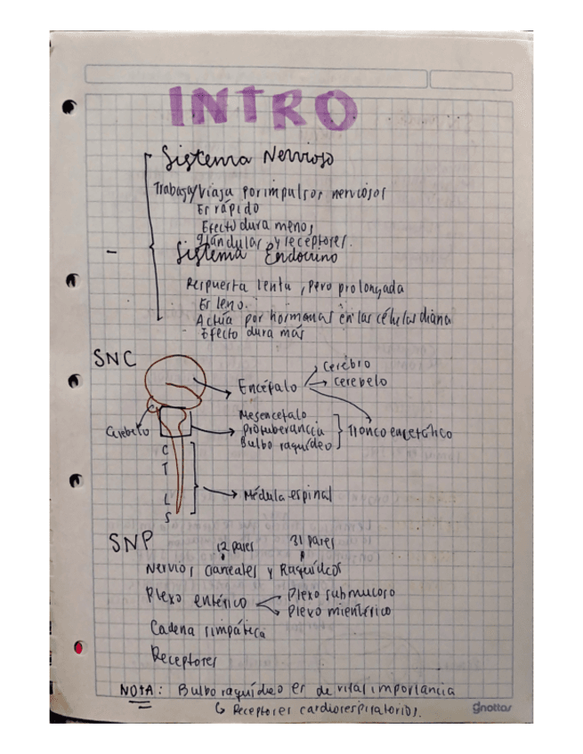 NERVOUS-SYSTEM-RESUME.pdf