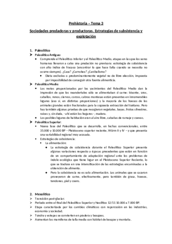 Prehistoria - Tema 3.pdf