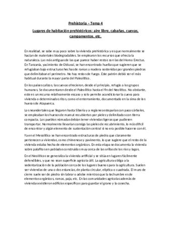 Prehistoria - Tema 4.pdf