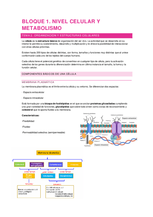 Tema-2.pdf