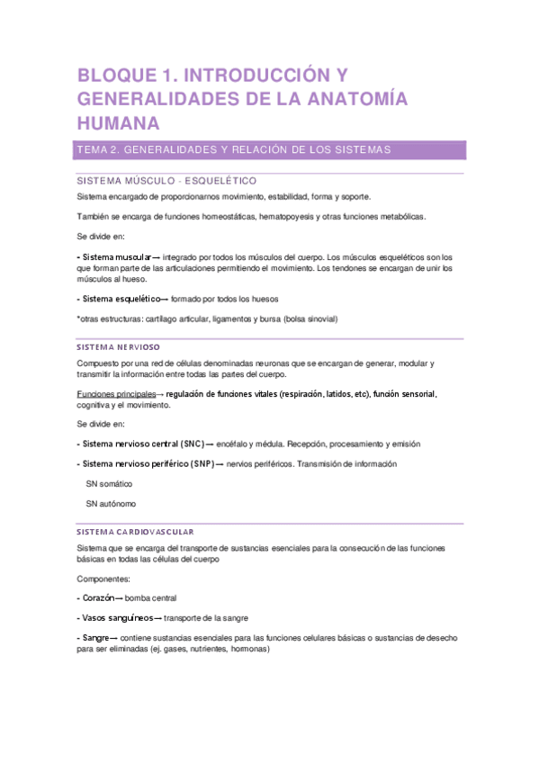 Tema 4 Anatomia Pdf
