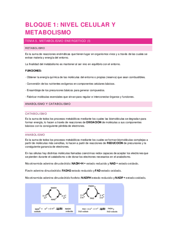 tema-5.pdf