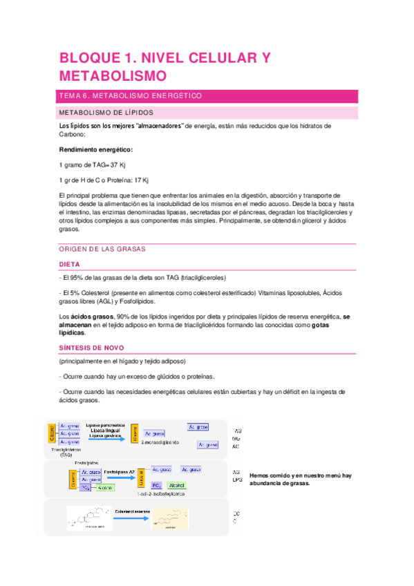 tema-6.pdf