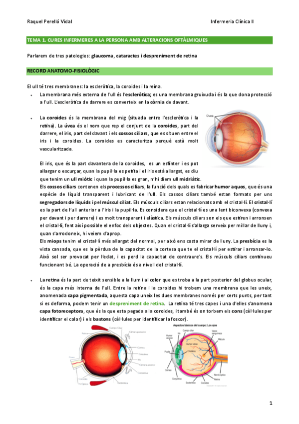 TEMA-1.-CURES-INFERMERES-A-LA-PERSONA-AMB-ALTERACIONS-OFTALMIQUES.pdf