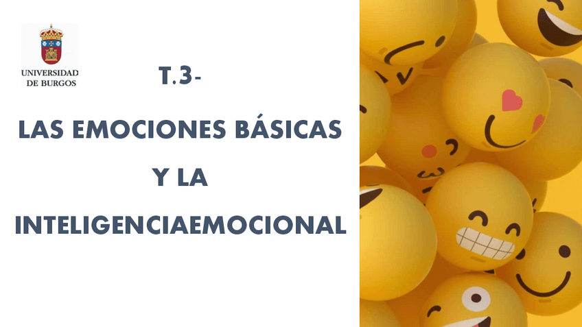 T.3-EMOCION.pdf