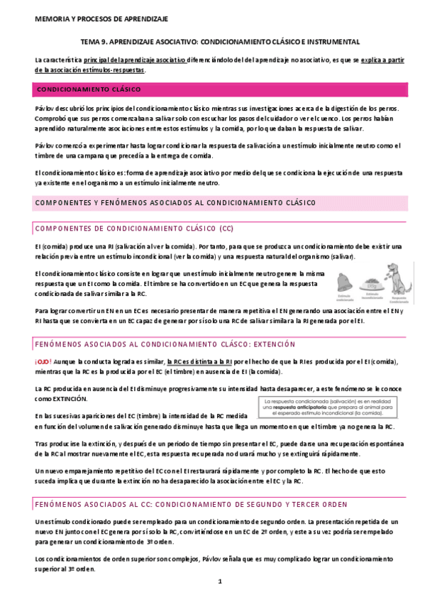 tema-9-memoria y procesos aprendizaje.pdf