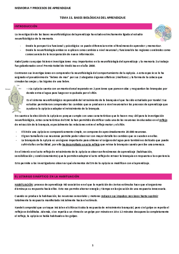 tema-11-memoria y procesos aprendizaje.pdf