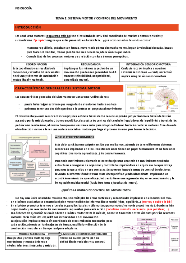 tema-2-fisiologia.pdf