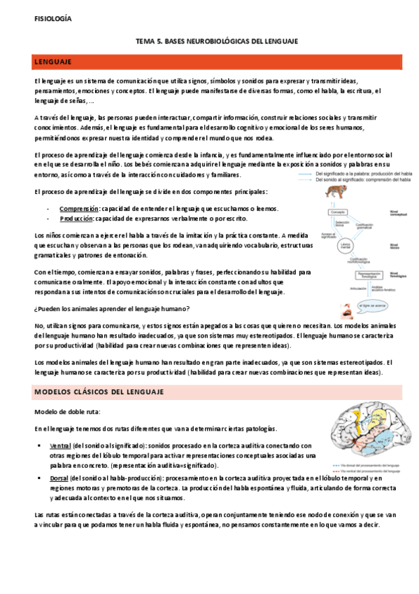 tema-5-fisiologia.pdf