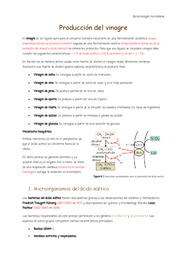 9.-Produccion-de-vinagre.pdf