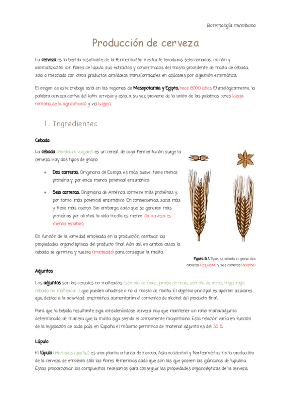8.-Produccion-de-cerveza.pdf