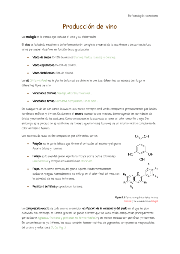 7.-Produccion-de-vino.pdf
