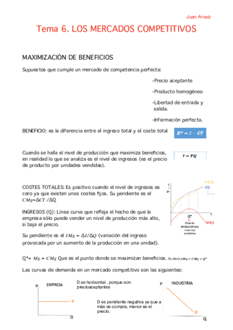 TEMA 6 MICRO pdf.pdf