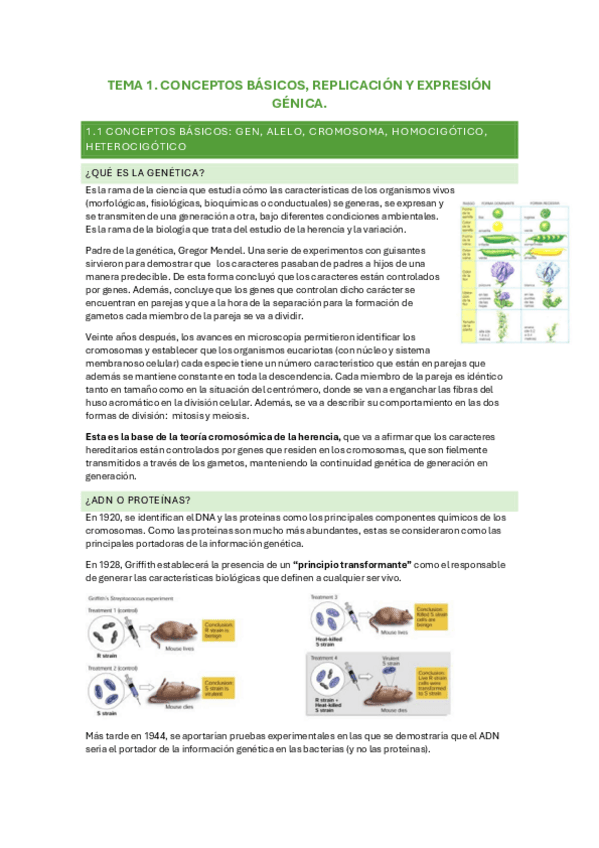 TEMA-1.-CONCEPTOS-BASICOS-REPLICACION-Y-EXPRESION-GENICA..pdf