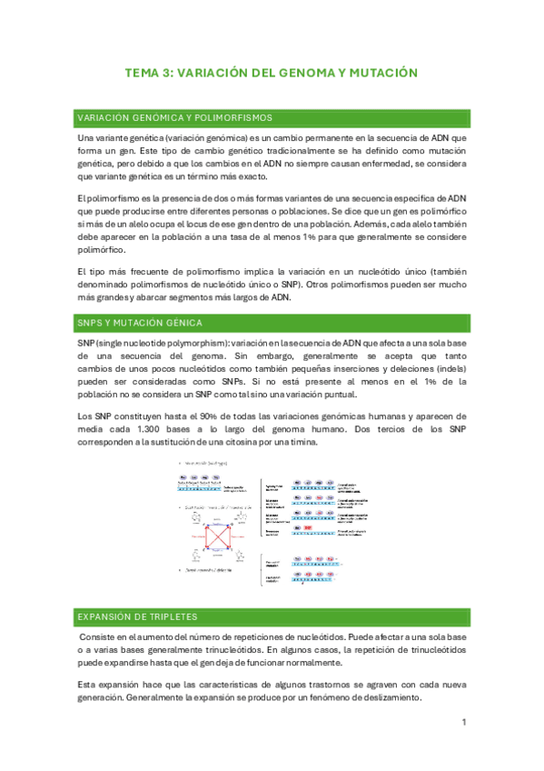 TEMA-3.-VARIACION-DEL-GENOMA-Y-MUTACION.pdf
