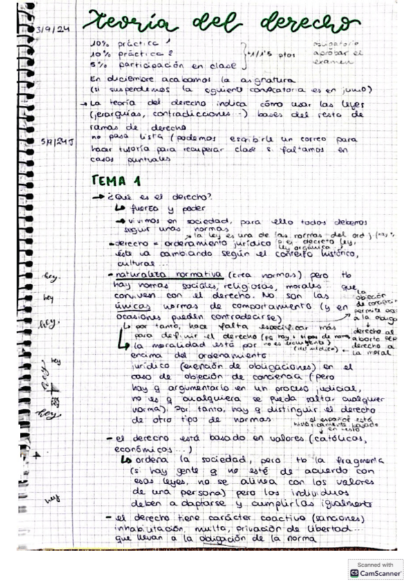Tema-1-Teoria-del-Derecho.pdf