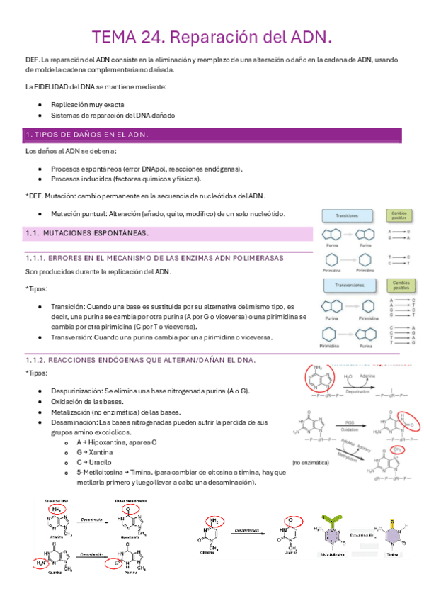 Bioquimica-M5.pdf