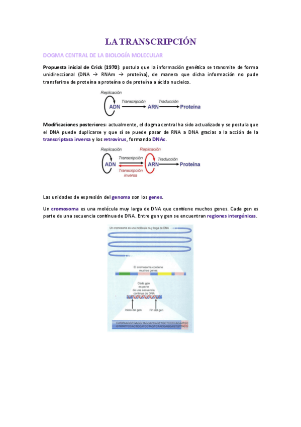GM-apunts-segon-parcial.pdf
