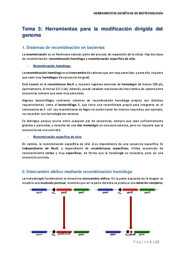 Tema-3-herramientas.pdf