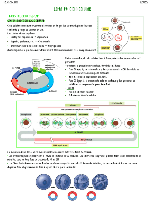 tema-19-biologia-celular-I.pdf