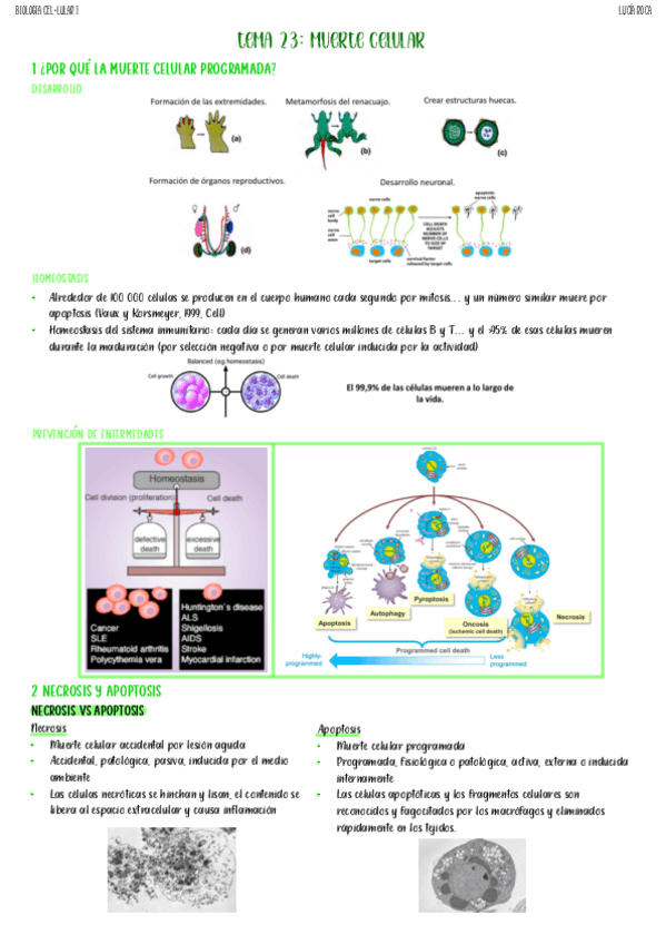 tema-23-biologia-celular-I.pdf