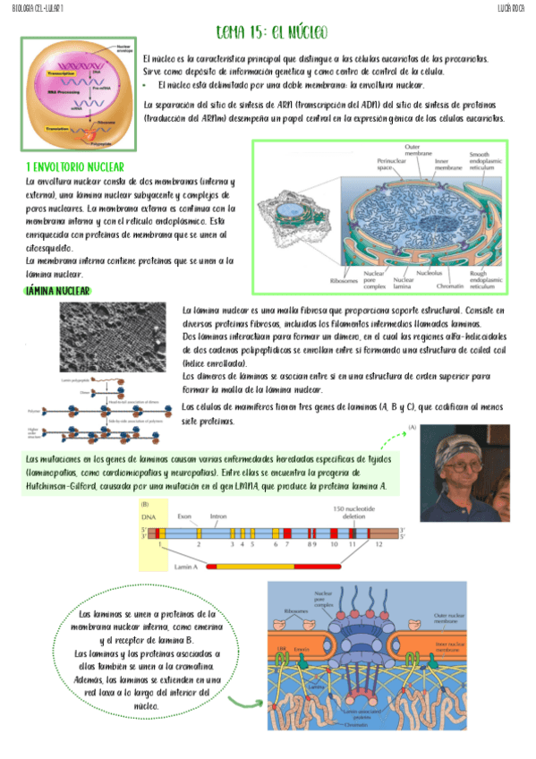 tema-15-biologia-celular-I.pdf