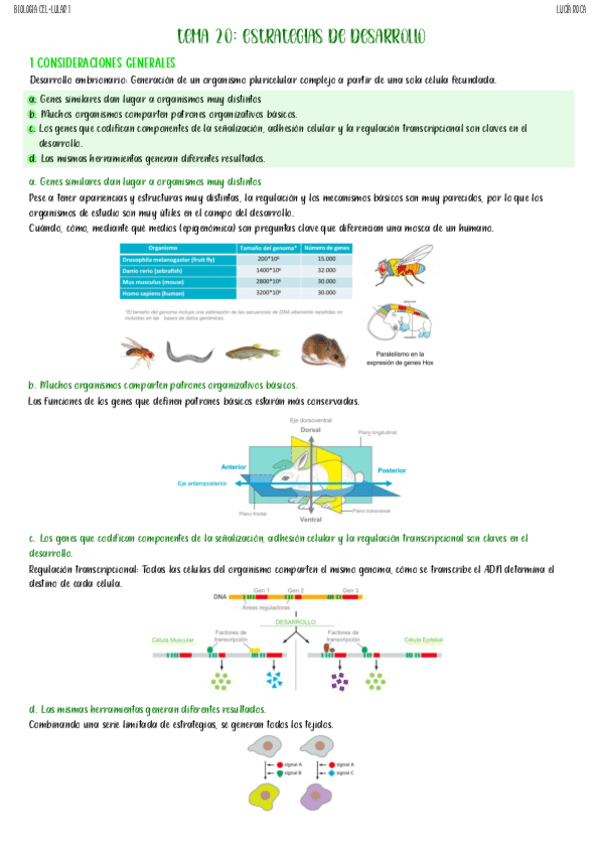 tema-20-biologia-celular-I.pdf