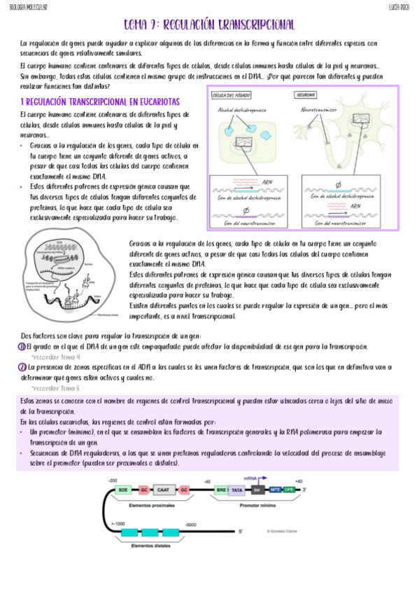 tema-9-biologia-molecular.pdf