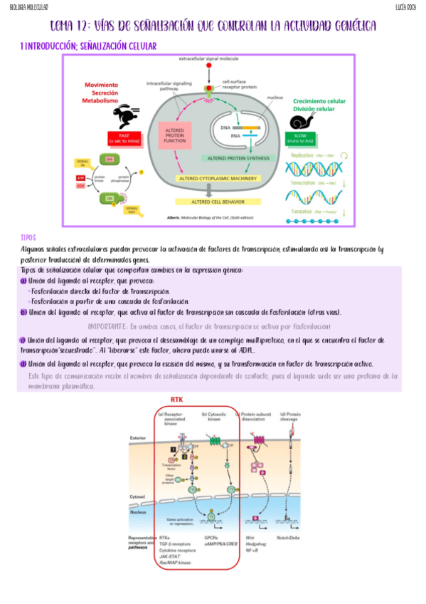 tema-12-biologia-molecular.pdf