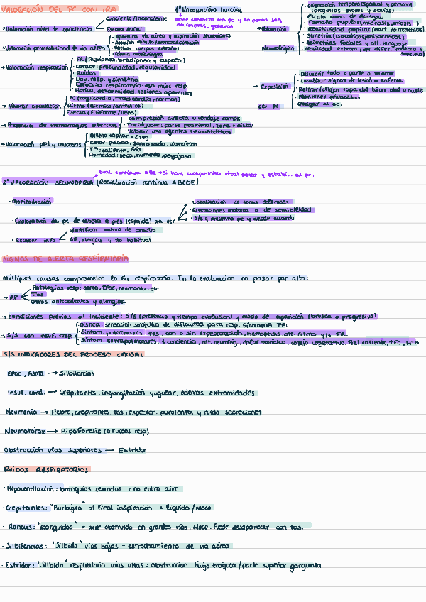 Capitulo-4-Procedim-y-cuidados-extrah241222105428.pdf